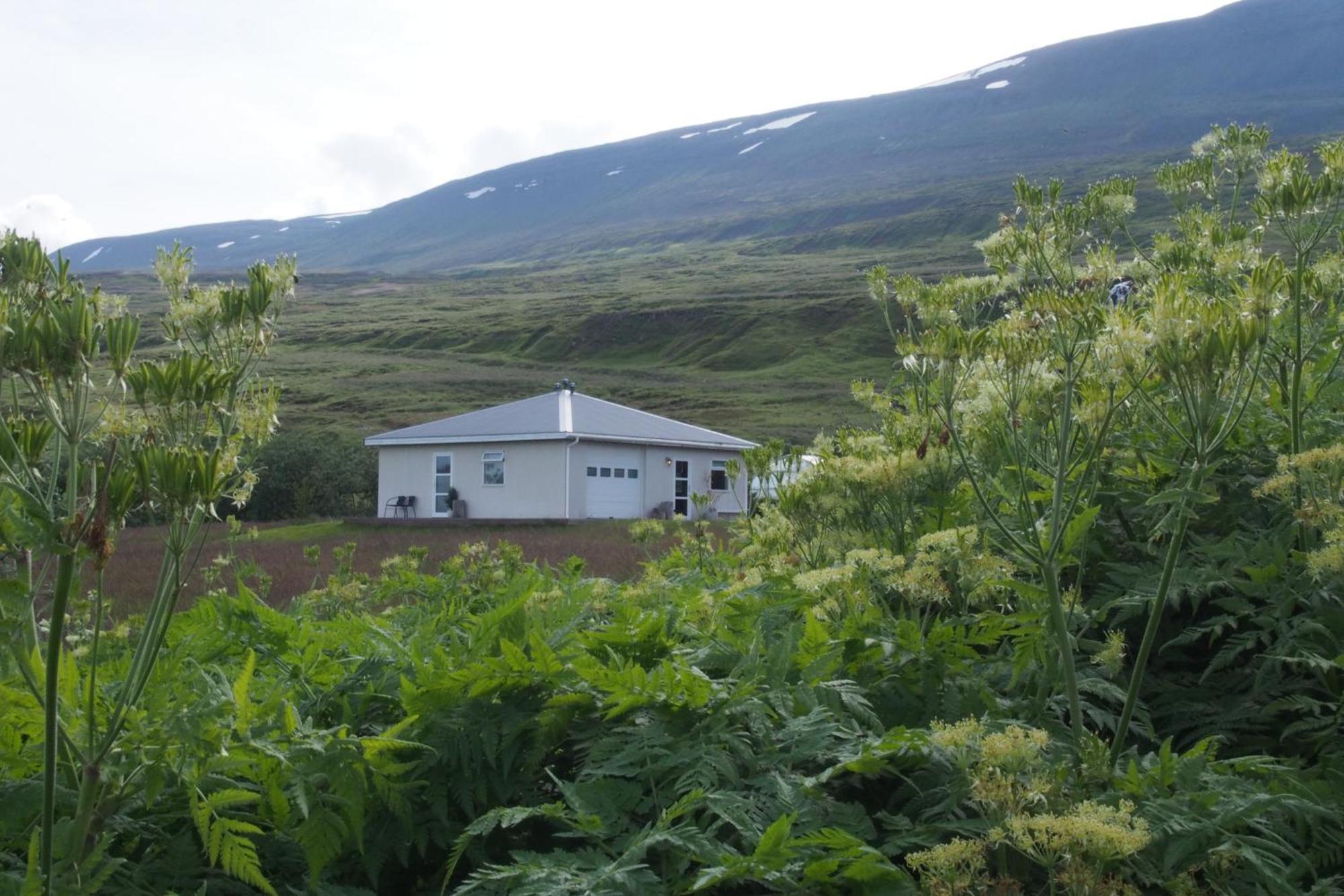 Granastathir Guesthouse Húsavík Εξωτερικό φωτογραφία